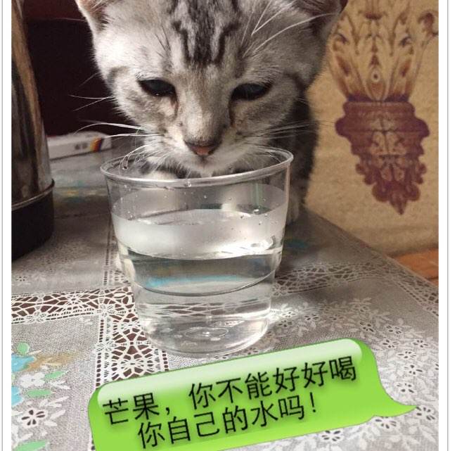 高仿日本福冈国际大学文凭毕业证